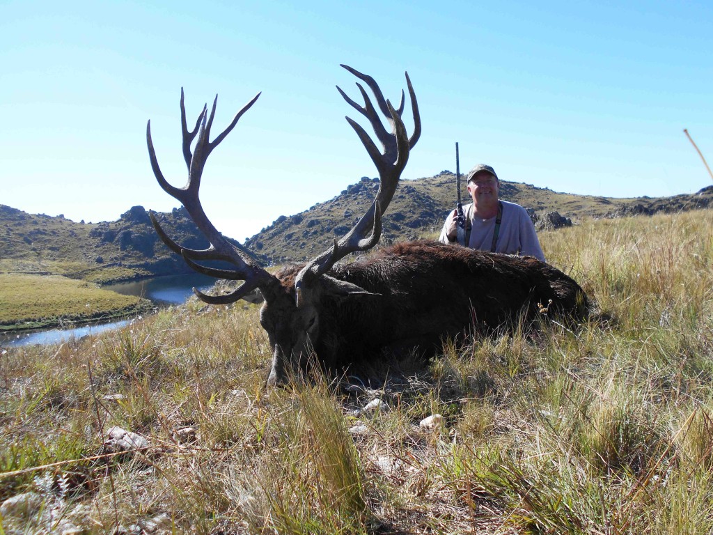 Bob H. with a heavy 331" stag