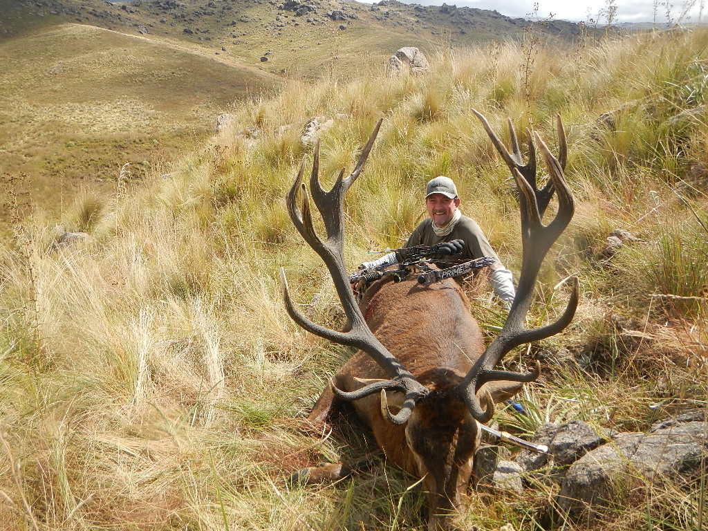 A typical "classic" stag of 319"
