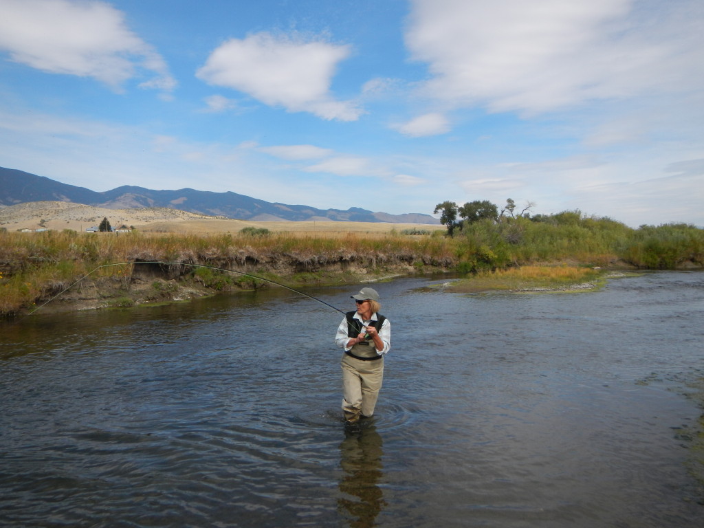 Healing Waters - Montana