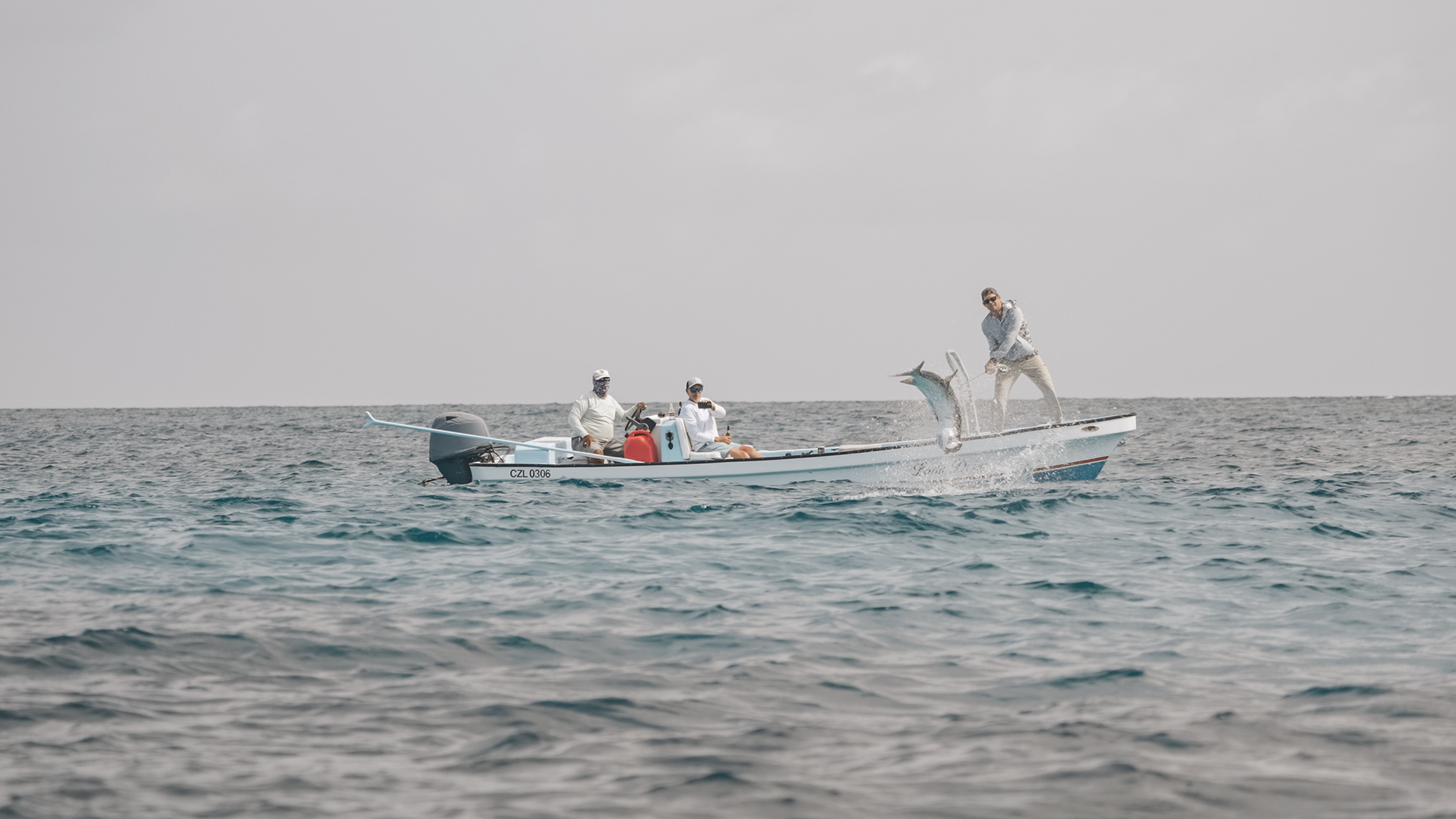 tarpon fish jumping out of water