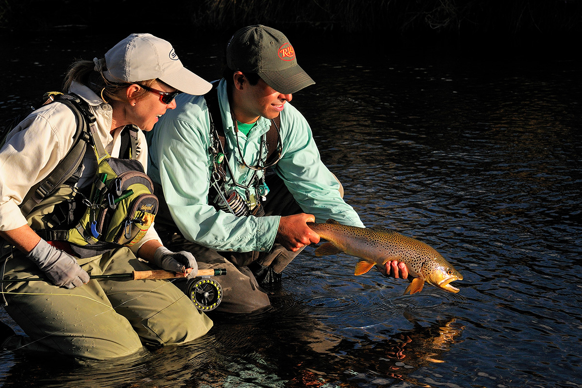Brown trout 010 0241
