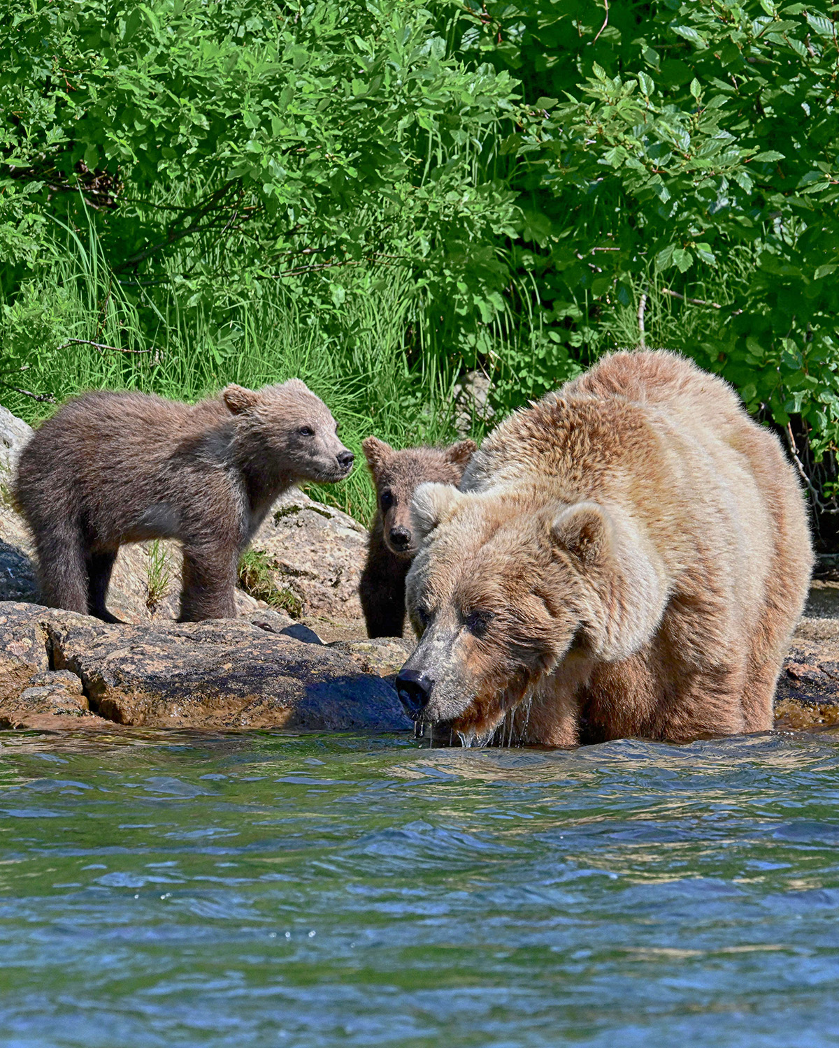 2023 ALASKA 554_Nik_HDR