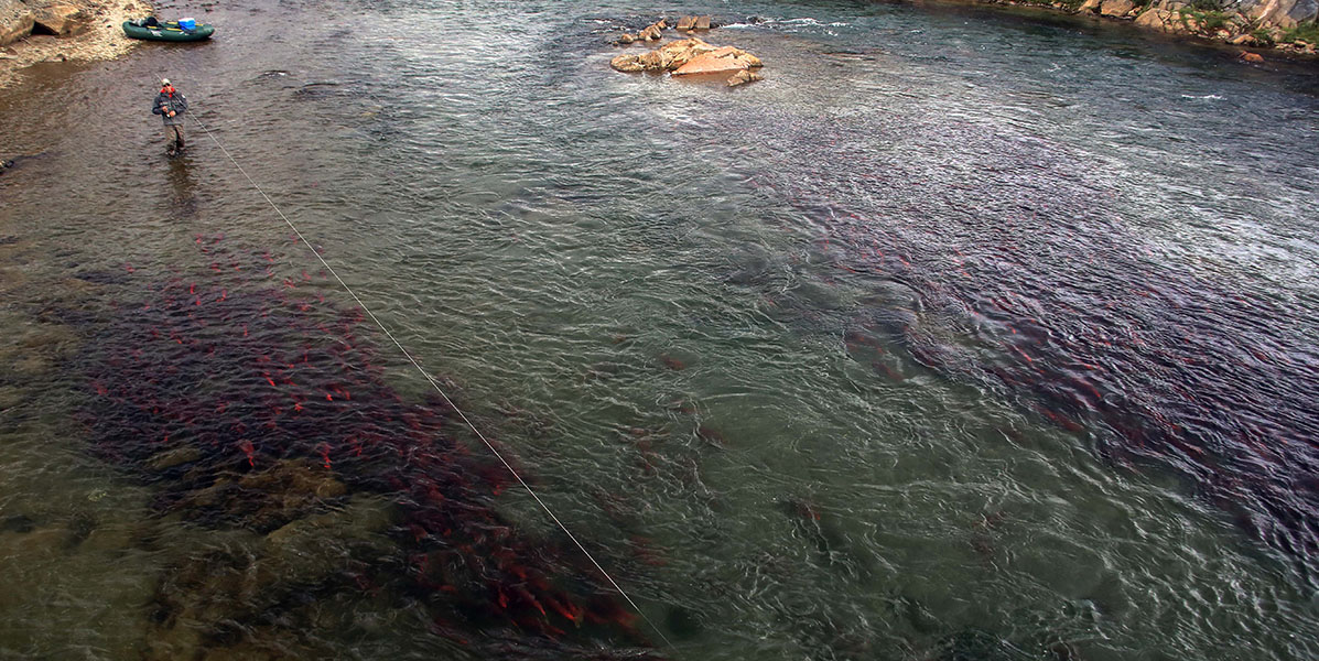 ak_brianfishonoversalmn-2